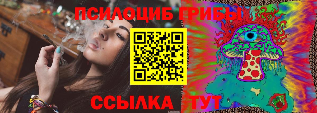 Псилоцибиновые грибы Cubensis  Вход с VPN  Киров 