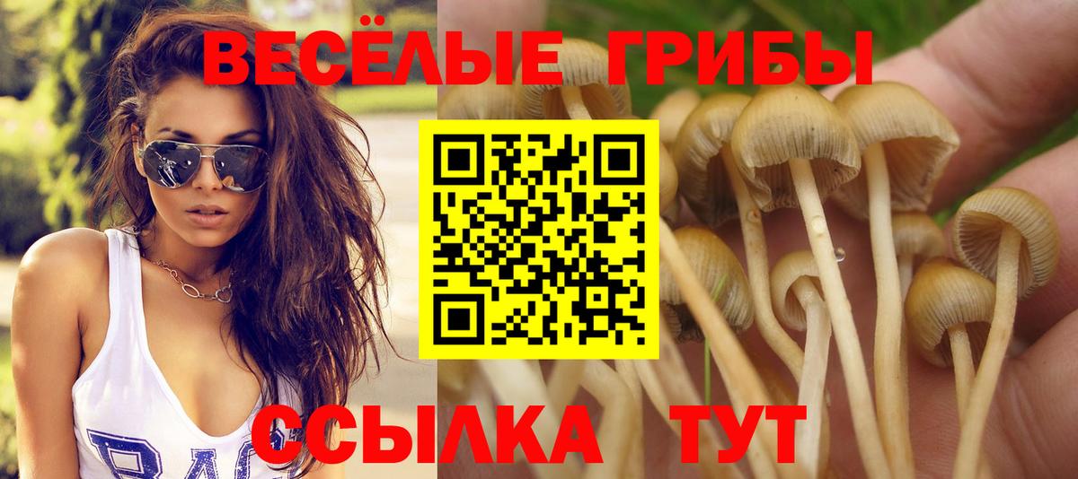 Псилоцибиновые грибы GOLDEN TEACHER Киров
