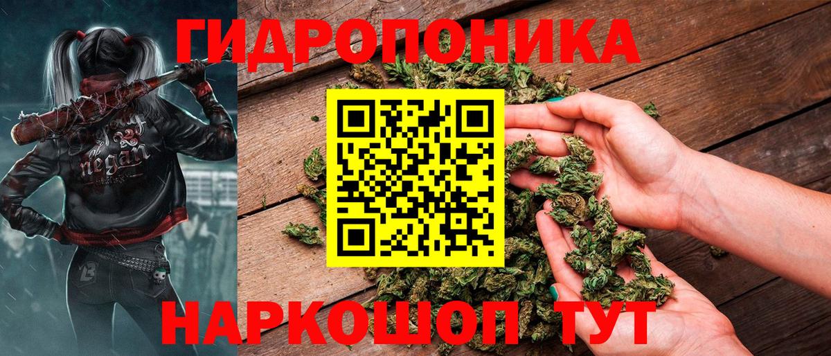 Каннабис OG Kush Киров